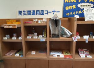 北淡震災記念公園2